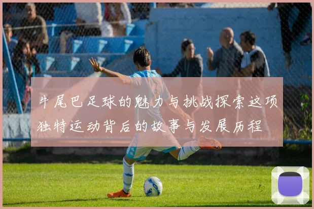牛尾巴足球的魅力与挑战探索这项独特运动背后的故事与发展历程