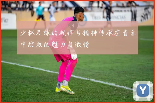 少林足球的旋律与精神传承在音乐中绽放的魅力与激情