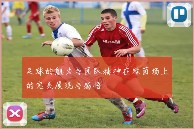 足球的魅力与团队精神在绿茵场上的完美展现与感悟