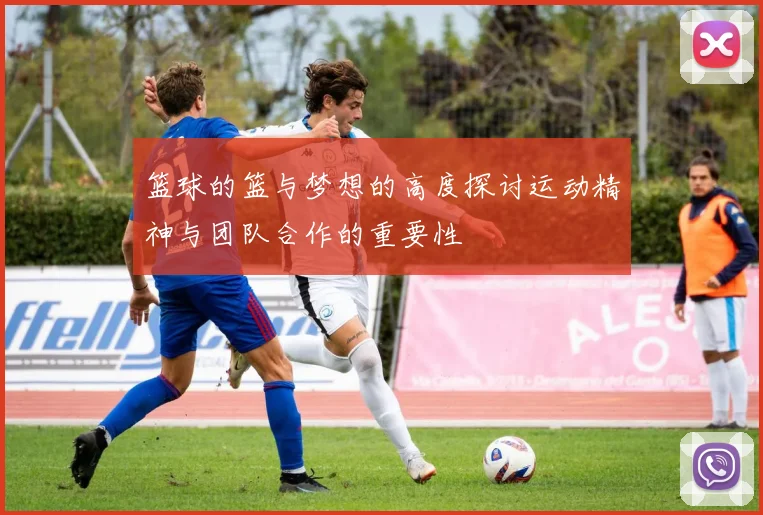 篮球的篮与梦想的高度探讨运动精神与团队合作的重要性