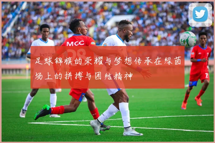 足球锦旗的荣耀与梦想传承在绿茵场上的拼搏与团结精神